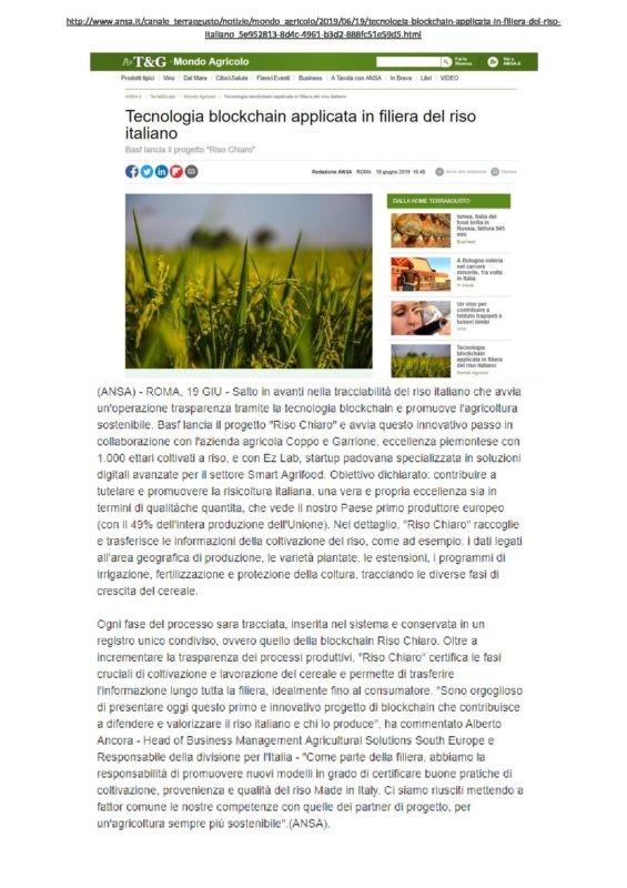 Blockchain Solutions & AgriFood Technology | EZ Lab