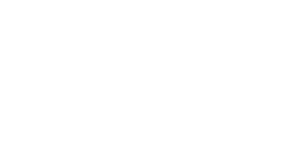 Rina logo partner