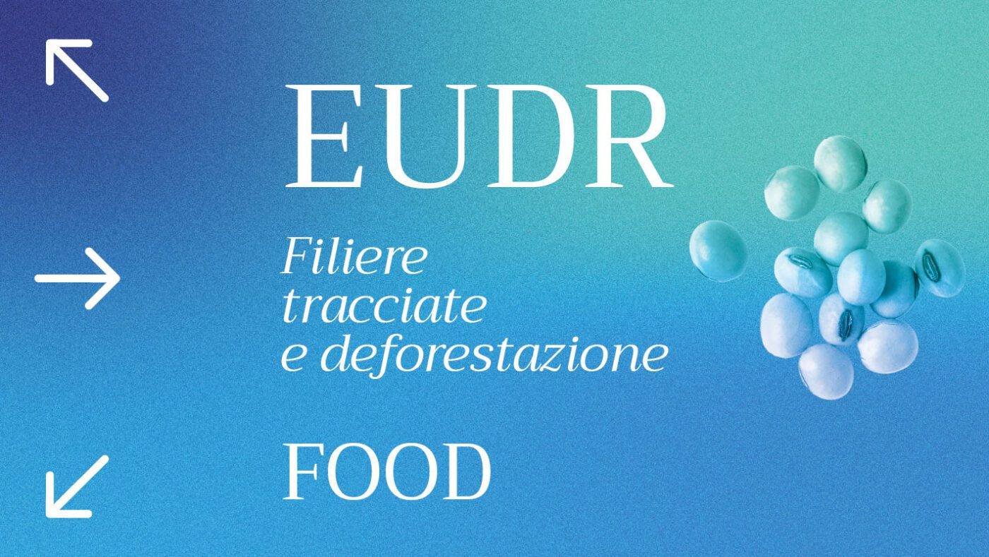 Regolamento EUDR per cacao, caffè, soia, olio di palma e l'intera filiera alimentare. 