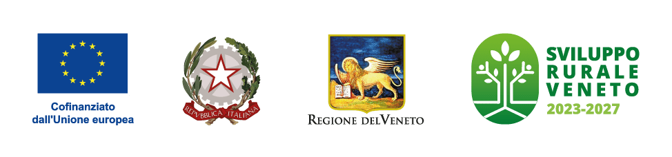 banner loghi progetto morus up